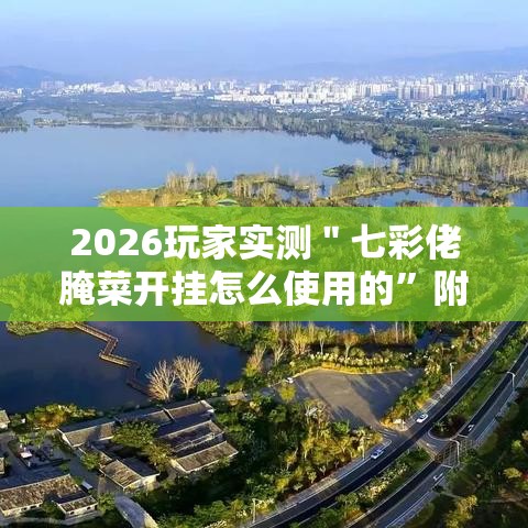 2026玩家实测＂七彩佬腌菜开挂怎么使用的”附开挂脚本详细教程