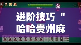 进阶技巧 ＂哈哈贵州麻将开挂”详细开挂玩法