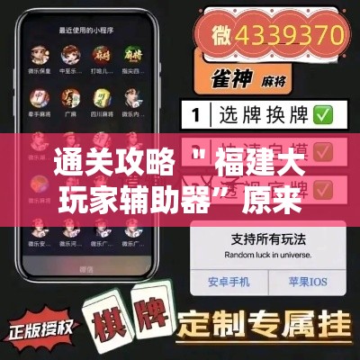 通关攻略 ＂福建大玩家辅助器”原来有神器下载