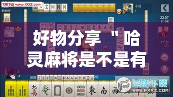 好物分享 ＂哈灵麻将是不是有挂”详细辅助教程分享
