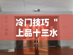 冷门技巧 ＂上品十三水怎么开挂”附透视挂详细教程
