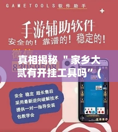 真相揭秘 ＂家乡大贰有开挂工具吗”(透视挂)辅助透视教程