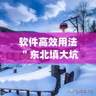 软件高效用法 ＂东北填大坑开挂是不是真的	”(原来确实是有挂)