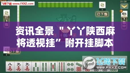 资讯全景 ＂丫丫陕西麻将透视挂”附开挂脚本详细步骤