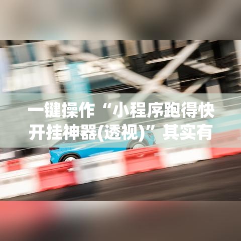 一键操作“小程序跑得快开挂神器(透视)”其实有开挂插件!