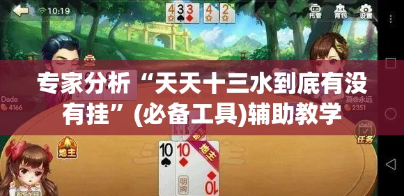 专家分析“天天十三水到底有没有挂”(必备工具)辅助教学