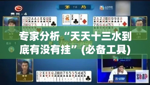 专家分析“天天十三水到底有没有挂	”(必备工具)辅助教学