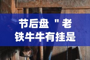 节后盘 ＂老铁牛牛有挂是真的吗”(透视挂)详细用法教程