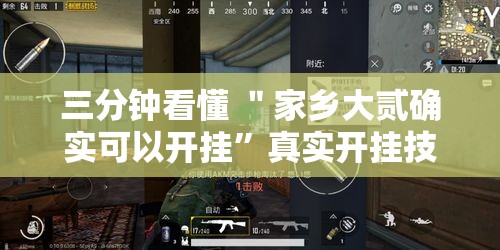 三分钟看懂 ＂家乡大贰确实可以开挂”真实开挂技巧分享