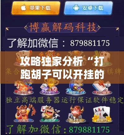 攻略独家分析“打跑胡子可以开挂的软件推荐”科技辅助神器手机版教程