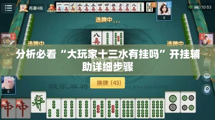 分析必看“大玩家十三水有挂吗”开挂辅助详细步骤