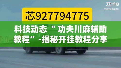 科技动态 ＂功夫川麻辅助教程”-揭秘开挂教程分享