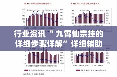 行业资讯 ＂九霄仙宗挂的详细步骤详解”详细辅助教程分享