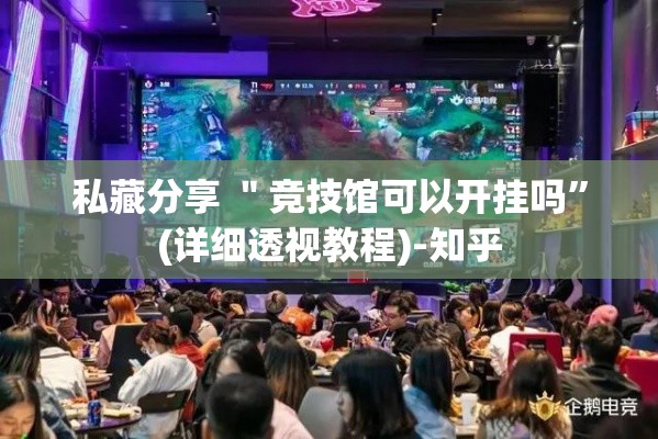 私藏分享 ＂竞技馆可以开挂吗	”(详细透视教程)-知乎