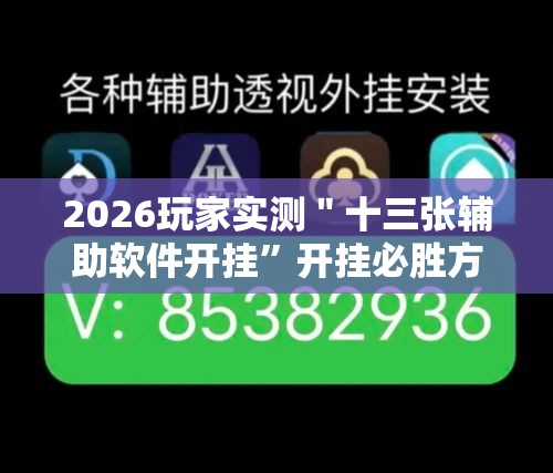 2026玩家实测＂十三张辅助软件开挂”开挂必胜方法