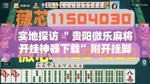 实地探访 ＂贵阳微乐麻将开挂神器下载”附开挂脚本详细步骤