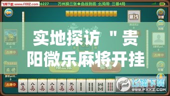 实地探访 ＂贵阳微乐麻将开挂神器下载”附开挂脚本详细步骤