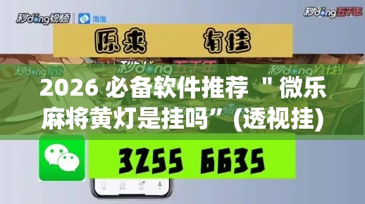 2026 必备软件推荐 ＂微乐麻将黄灯是挂吗”(透视挂)详细用法教程