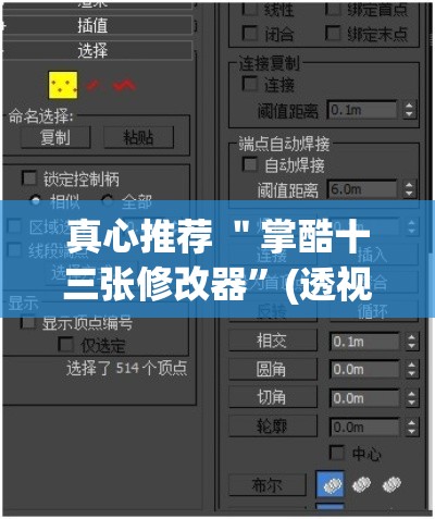 真心推荐 ＂掌酷十三张修改器”(透视挂)辅助透视教程