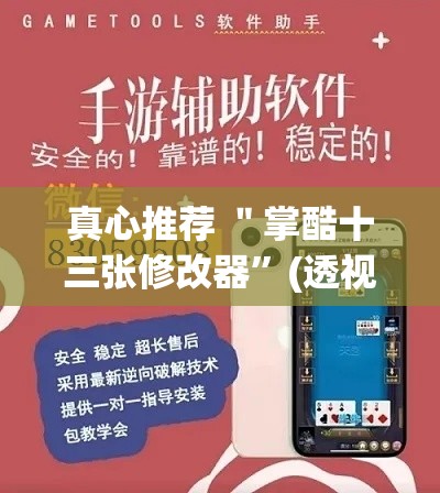 真心推荐 ＂掌酷十三张修改器”(透视挂)辅助透视教程
