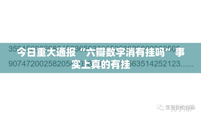 今日重大通报“六瓣数字消有挂吗”事实上真的有挂
