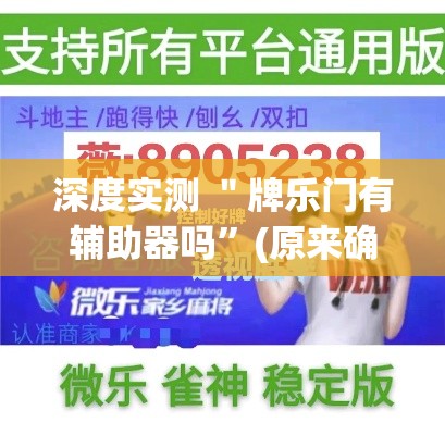 深度实测 ＂牌乐门有辅助器吗”(原来确实是有插件)