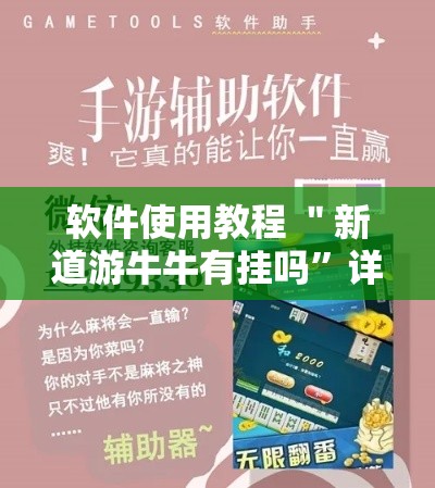 软件使用教程 ＂新道游牛牛有挂吗”详细分享装挂步骤教程