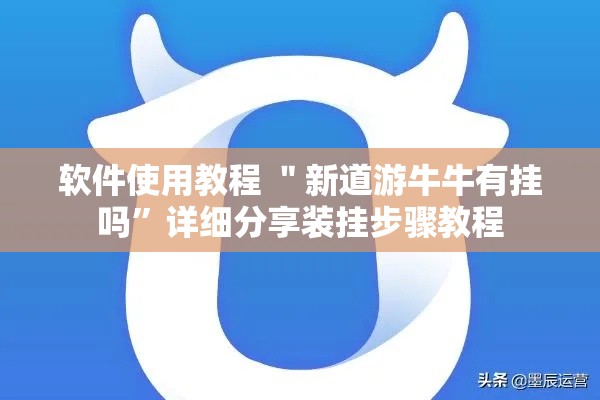 软件使用教程 ＂新道游牛牛有挂吗”详细分享装挂步骤教程