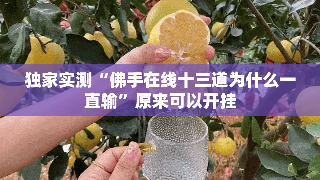 独家实测“佛手在线十三道为什么一直输”原来可以开挂