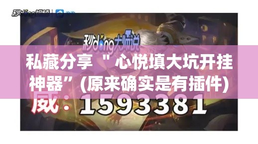 私藏分享 ＂心悦填大坑开挂神器	”(原来确实是有插件)