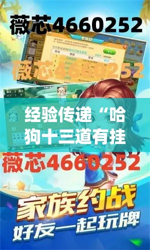 经验传递“哈狗十三道有挂吗”作弊(透视)透视辅助