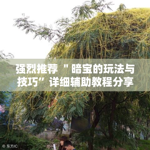强烈推荐 ＂暗宝的玩法与技巧”详细辅助教程分享