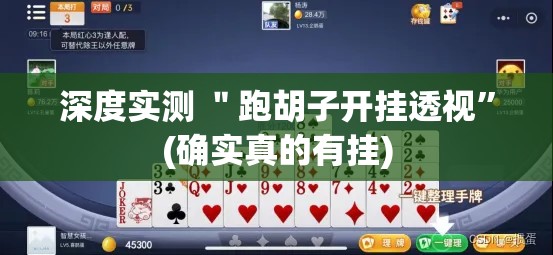 深度实测 ＂跑胡子开挂透视”(确实真的有挂)