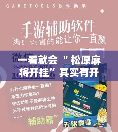一看就会 ＂松原麻将开挂”其实有开挂插件!