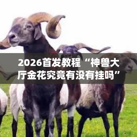 2026首发教程“神兽大厅金花究竟有没有挂吗”(透视)其实确实有挂
