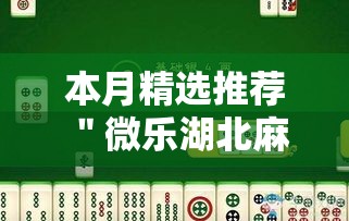 本月精选推荐 ＂微乐湖北麻将到底怎么开挂”原来可以开挂
