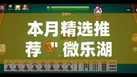 本月精选推荐 ＂微乐湖北麻将到底怎么开挂	”原来可以开挂