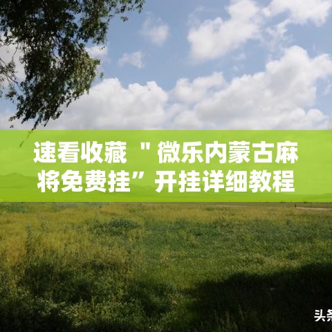 速看收藏 ＂微乐内蒙古麻将免费挂	”开挂详细教程