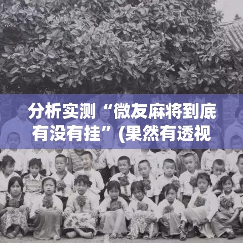 分析实测“微友麻将到底有没有挂”(果然有透视挂)