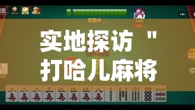 实地探访 ＂打哈儿麻将可以开挂吗”详细外挂透视辅助软件教程