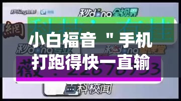 小白福音 ＂手机打跑得快一直输什么原因”(透视)辅助透视教程