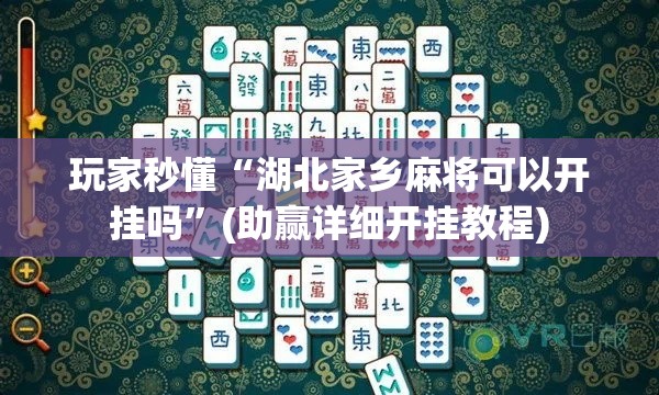 玩家秒懂“湖北家乡麻将可以开挂吗”(助赢详细开挂教程)