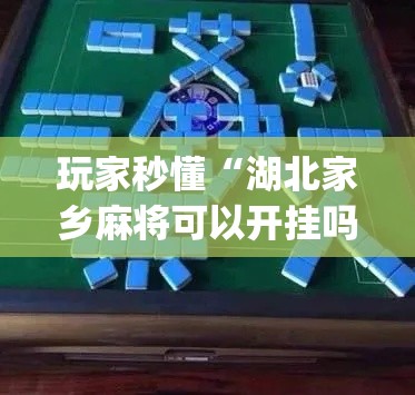 玩家秒懂“湖北家乡麻将可以开挂吗	”(助赢详细开挂教程)