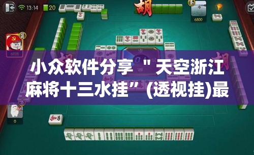 小众软件分享 ＂天空浙江麻将十三水挂”(透视挂)最新辅助详细教程