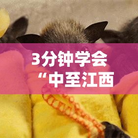 3分钟学会“中至江西麻将开挂神器最新辅助详细教程 3分钟学会“中至江西麻将开挂神器最新辅助详细教程
