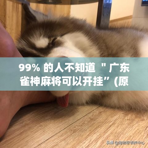99% 的人不知道 ＂广东雀神麻将可以开挂”(原来确实是有插件)