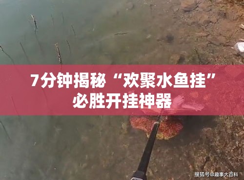 7分钟揭秘“欢聚水鱼挂”必胜开挂神器