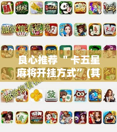 良心推荐 ＂卡五星麻将开挂方式”(其实是有挂)