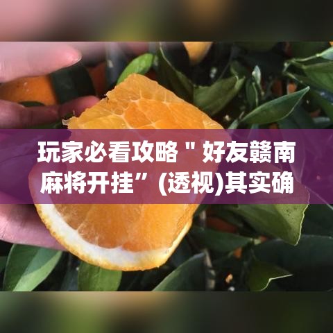 玩家必看攻略＂好友赣南麻将开挂”(透视)其实确实有挂