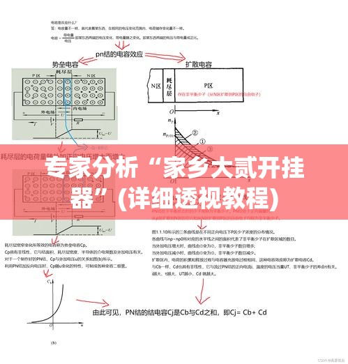 专家分析“家乡大贰开挂器”(详细透视教程)